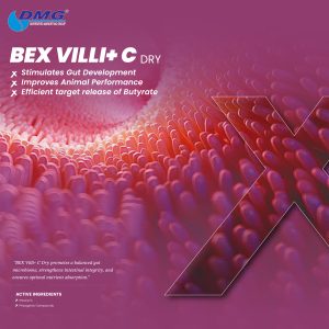 BEX VILLI+ C