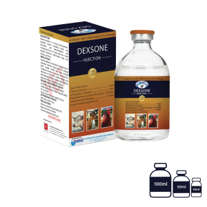 Dexsone Injection