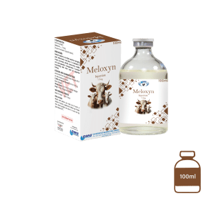 Meloxyn Injection