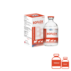 Boflox Liquid Injection